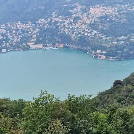 Cao * Brunate
