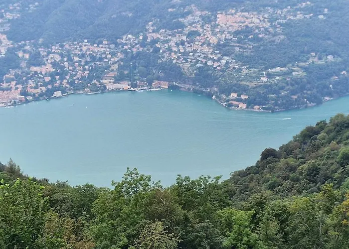 Cao * Brunate